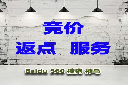 如何在SEM代运营服务公司中实现ROI最大化